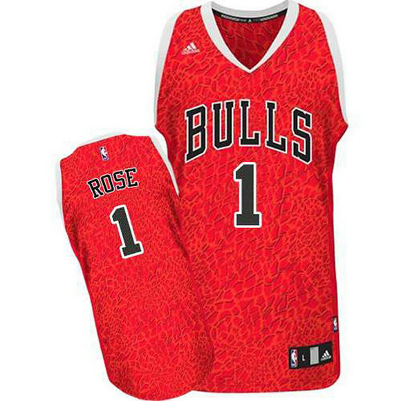 Camiseta baloncesto Chicago Bulls Leopard Derrick Rose 1 Roja