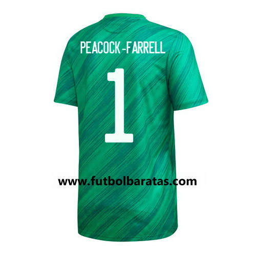 Camiseta Irlanda du Norte peacock 1 Primera Equipacion 2020