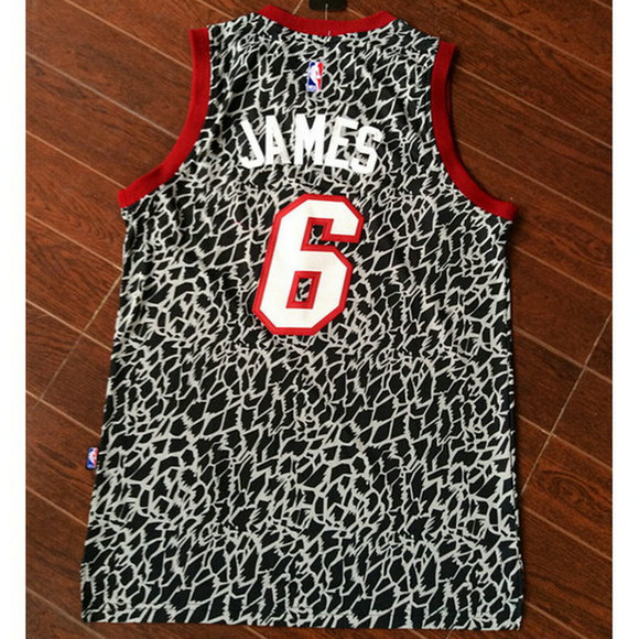 Camiseta baloncesto Miami Heat Leopard LeBron James 6 Gris