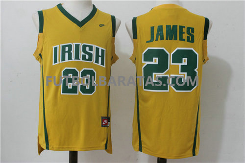 camiseta Irish James 23 cleveland cavaliers 2017 Pasto verde